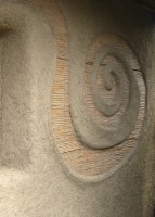 /album/fotogalerie-uvodni-stranka/a12z-jpg1/